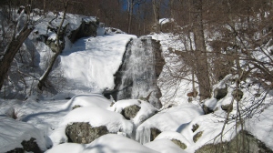 WOC Lower Falls